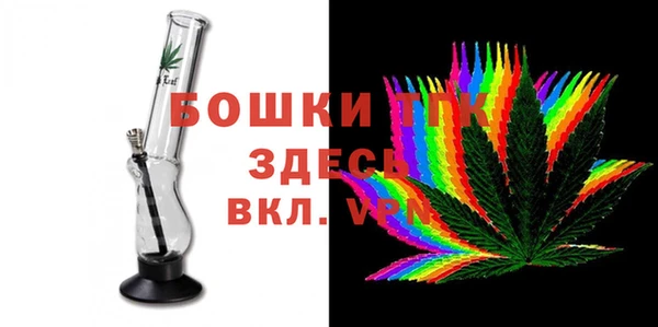 ПСИЛОЦИБИНОВЫЕ ГРИБЫ Елизово