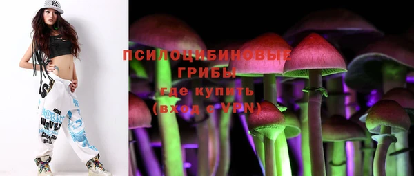 прущая мука Елабуга
