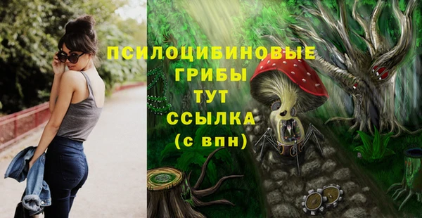 марки lsd Ельня