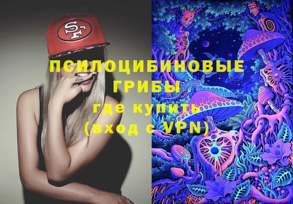 прущая мука Елабуга
