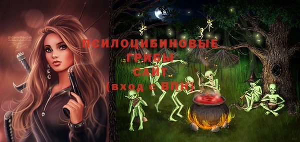 ПСИЛОЦИБИНОВЫЕ ГРИБЫ Елизово