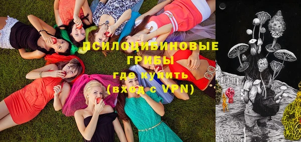 прущая мука Елабуга