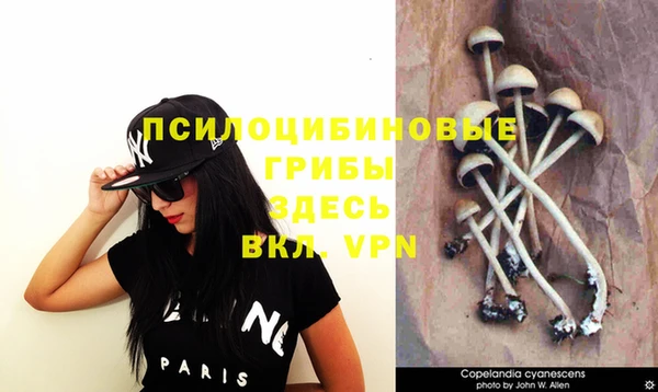 ПСИЛОЦИБИНОВЫЕ ГРИБЫ Елизово